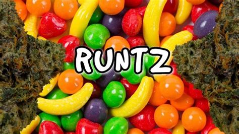 gucci gold runtz|runtz strain reviews.